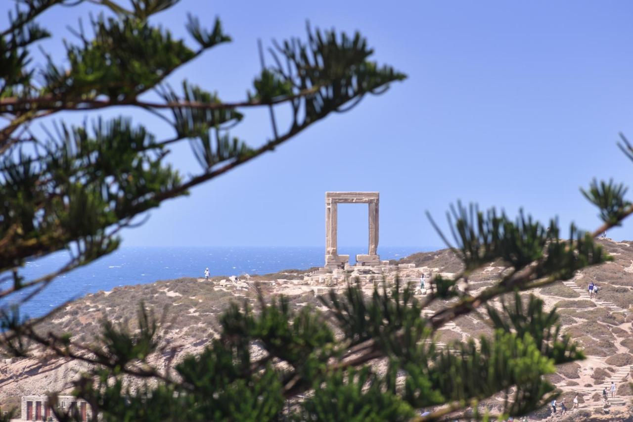 Mariet Naxos Spa & Suites Naxos City Luaran gambar